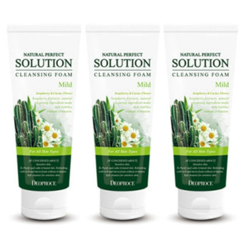 Deoproce Natural Perfect Solution Cleansing Foam Soapberry Cactus Flower 170g*3Pcs