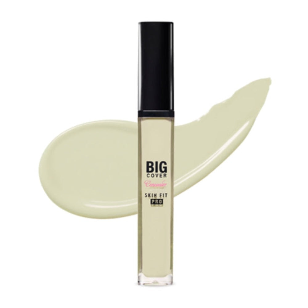 Etude House Big Cover Skin Fit Concealer Pro Neutral Mint 7g